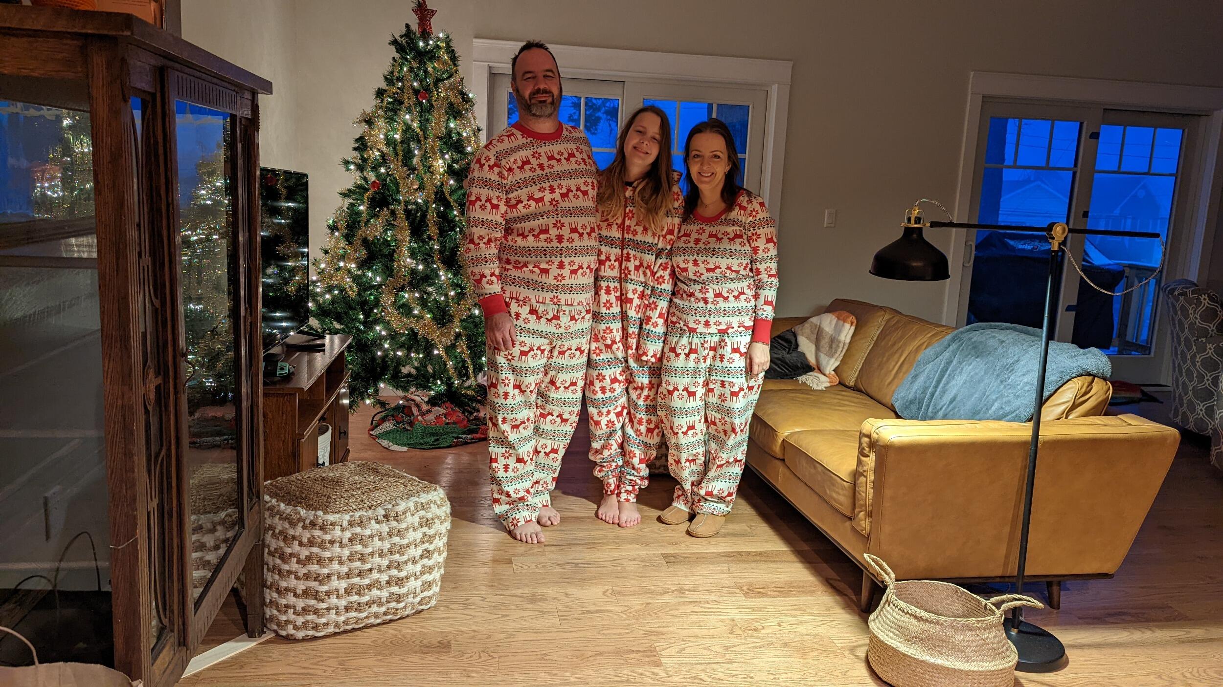 First Christmas in our new house