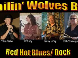 Wailin' WolvesBand - Variety Band - Thomasville, GA - Hero Gallery 1
