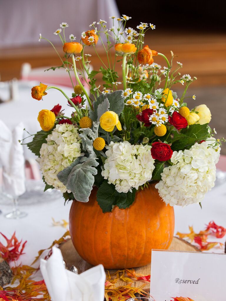 Table Setting for Thanksgiving. Dried Hydrangea Flowers in a Vase, a Small  Pumpkin on a Plate Stock Photo by LeylaCamomile