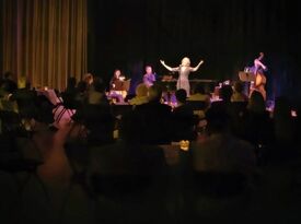 Diana Sheehan Sings the American Songbook - Broadway Singer - Dallas, TX - Hero Gallery 4