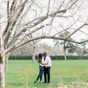 Gallery Photo 29