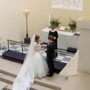 Gallery Photo 46