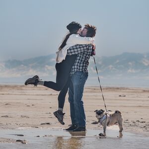Gallery Photo 4