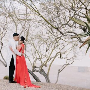 Gallery Photo 5