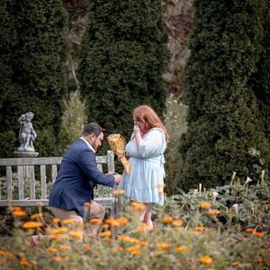 Gallery Photo 9