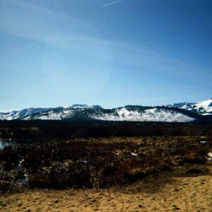 Gallery Photo 5