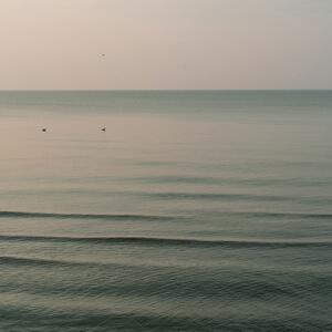 Gallery Photo 186