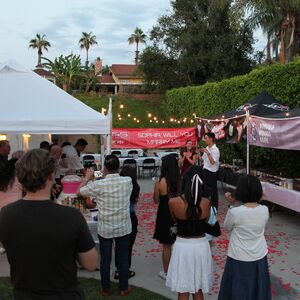 Gallery Photo 16
