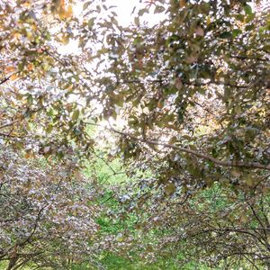 Gallery Photo 8