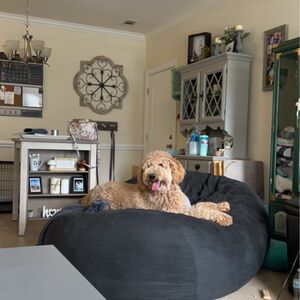 Gallery Photo 14