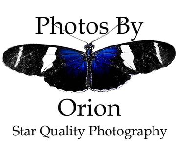 Photos By Orion - Photographer - Salem, OR - Hero Main