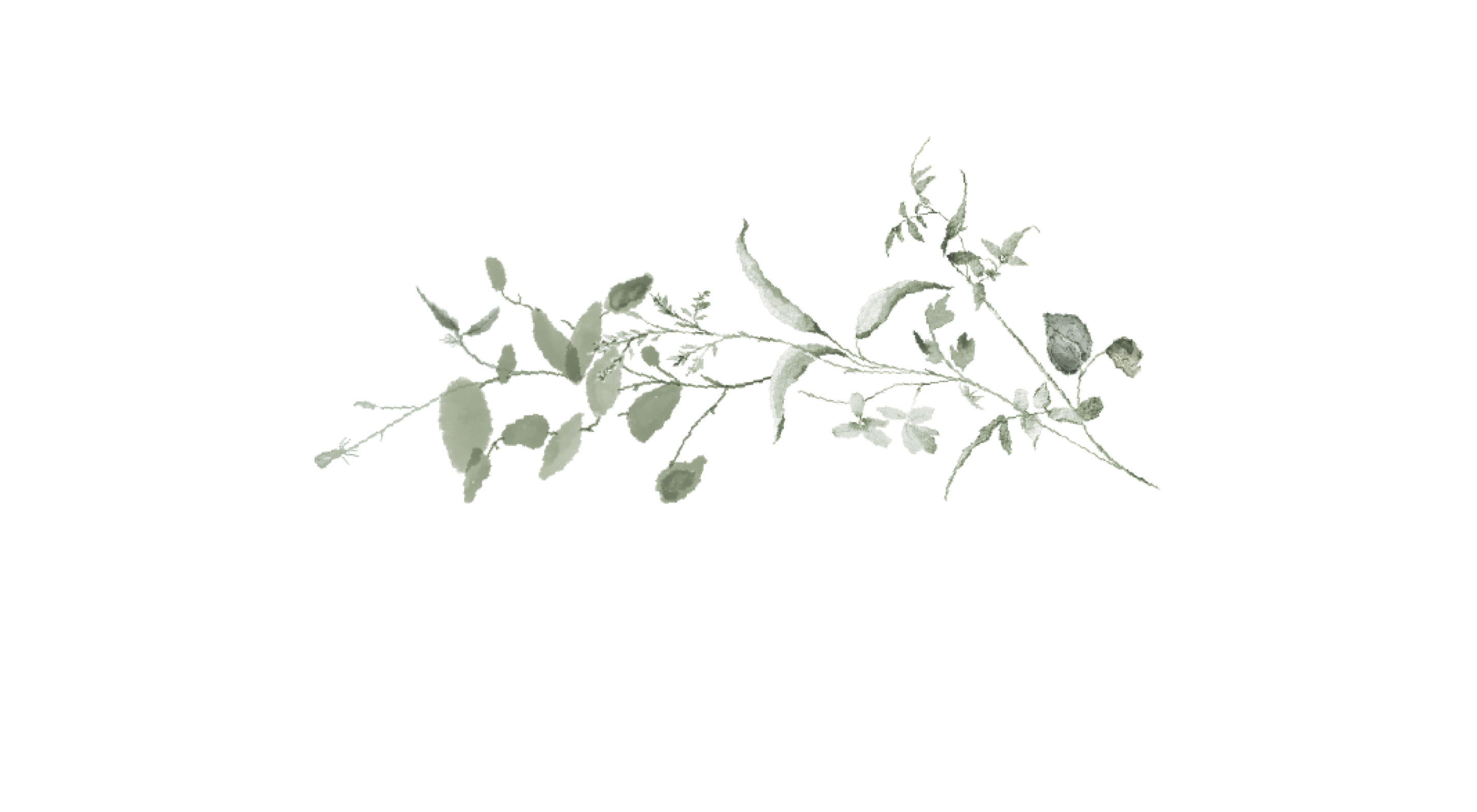 Top Theme Image