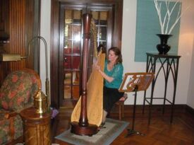 Theresa Tremmel, Indianapolis, Harp And Keyboard - Harpist - Indianapolis, IN - Hero Gallery 2