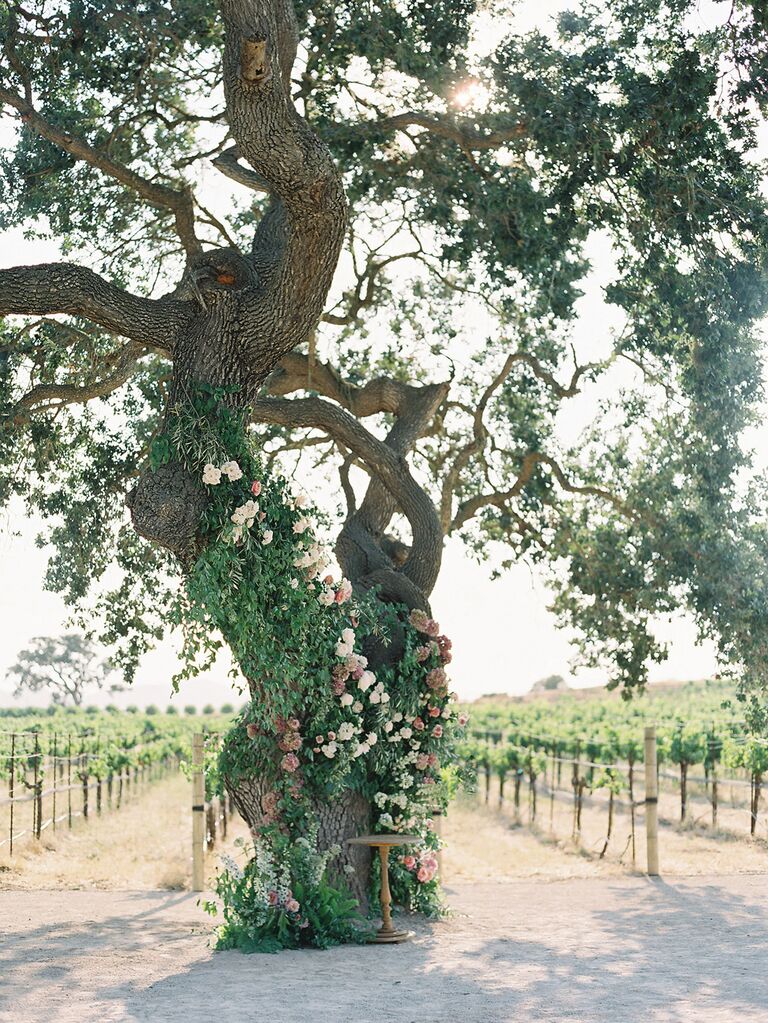 Can You Plan a Sustainable Vineyard Wedding?