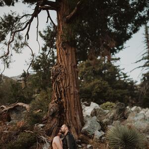 Gallery Photo 9