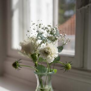 Gallery Photo 18