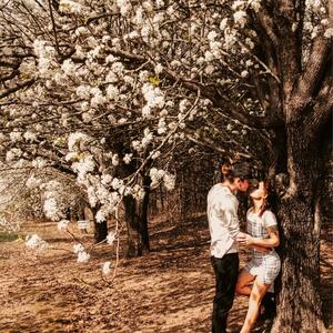 Gallery Photo 37