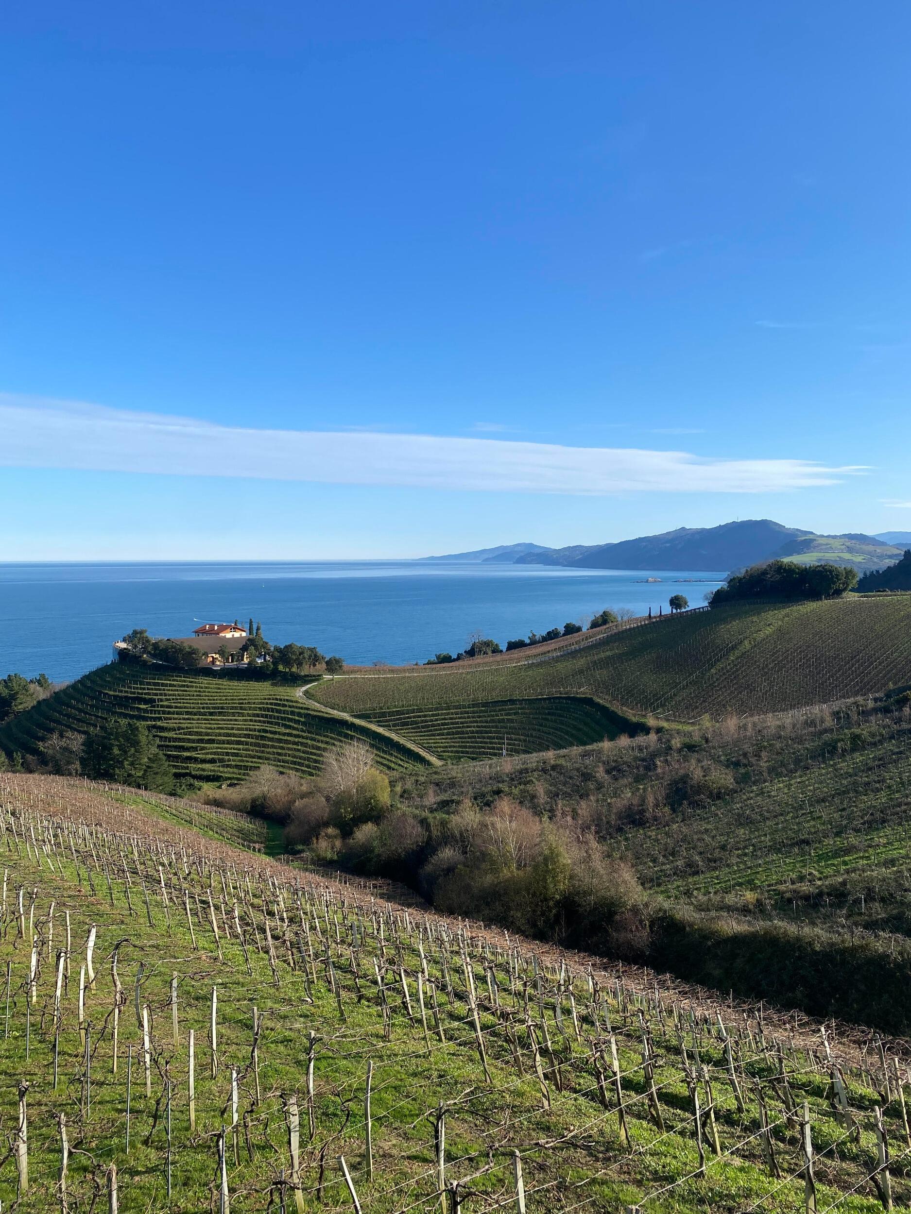 The winery on the sea. We did an afternoon tasting here. 
