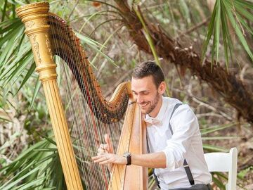 The Coastal Harpist - Harpist - Naples, FL - Hero Main