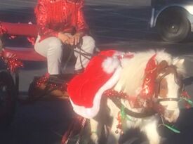 Cherry The Miniature Trick Horse & Nancy Degan - Animal For A Party - Germantown, TN - Hero Gallery 1