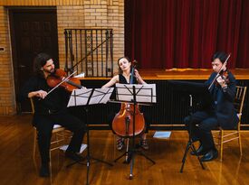 Spruce Quartet DC - String Quartet - Washington, DC - Hero Gallery 2