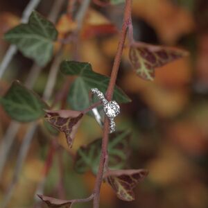 Gallery Photo 23