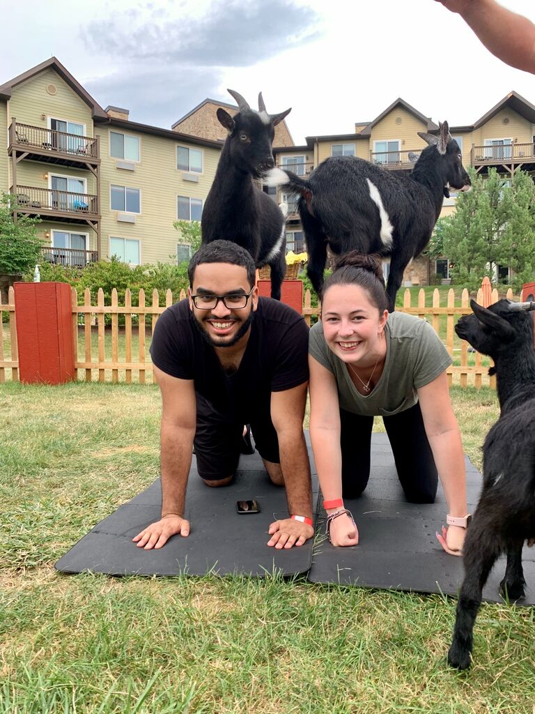 Our first time doing goat yoga.