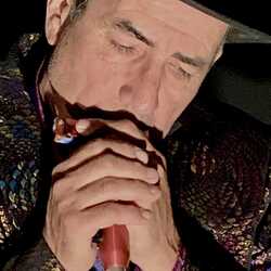 Michael Aguirre's Harmonica Stew, profile image