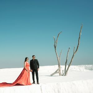Gallery Photo 15
