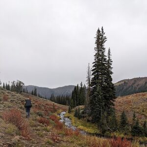 Gallery Photo 21