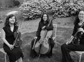 The Amherst String Ensemble - String Quartet - Amherst, MA - Hero Gallery 1