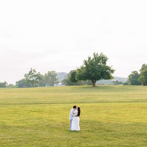 Gallery Photo 29