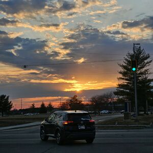 Gallery Photo 214