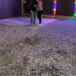Gallery Photo 56