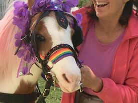 Cherry The Miniature Trick Horse & Nancy Degan - Animal For A Party - Germantown, TN - Hero Gallery 4