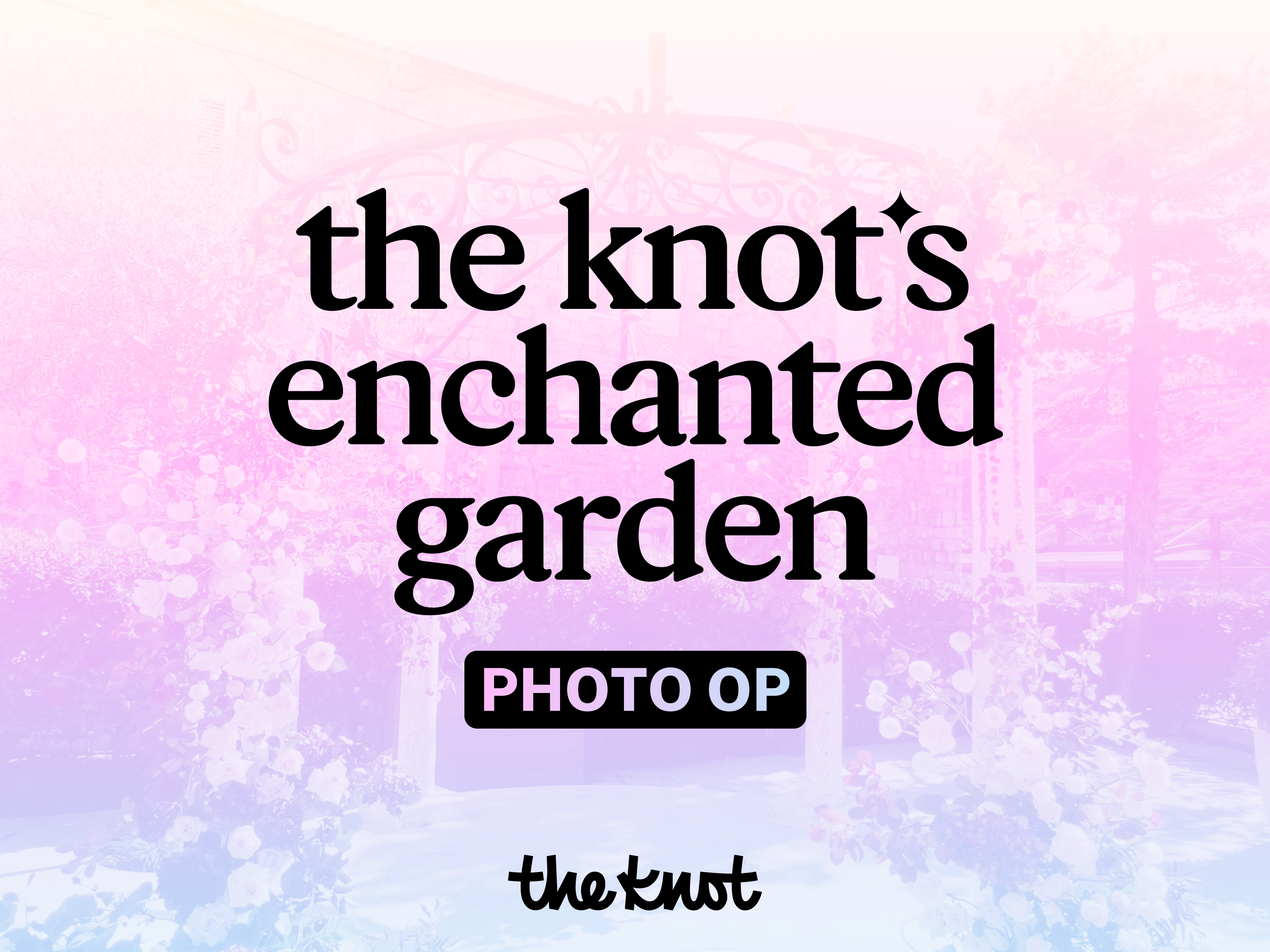 Photo op announcement for recreating Taylor's proposal in NYC.