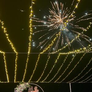 Gallery Photo 24