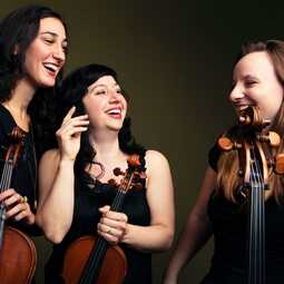 The New York String Ensemble, profile image