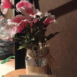 Gallery Photo 9