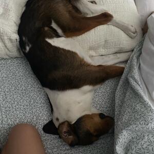 Gallery Photo 119