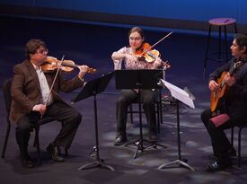 The Continental String Ensemble  - Classical Quartet - Arlington Heights, IL - Hero Gallery 1