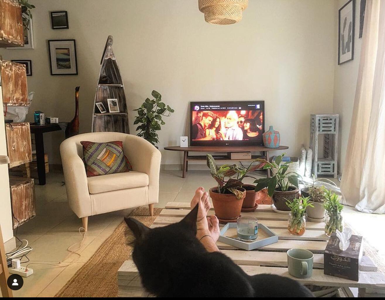 Later that year, they started building their home together and Alessio started living the cat dad life!