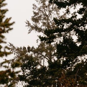Gallery Photo 150