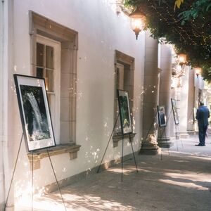 Gallery Photo 3