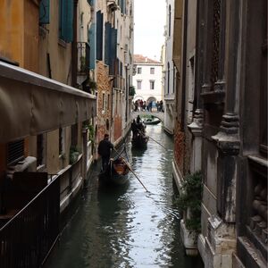 Gallery Photo 62