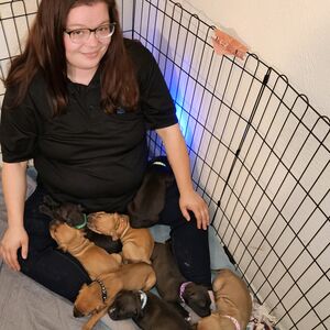 Gallery Photo 154