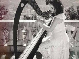 Ellen Shiraef - Harpist - Savannah, GA - Hero Gallery 4