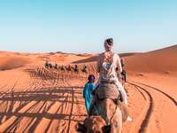 Girl riding a camel in Sahara Desert Morocco. Camel expedition in the desert.