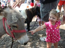 Honey Hill Farm Mobile Petting Zoo & Pony Rides - Animal For A Party - Berry, KY - Hero Gallery 2
