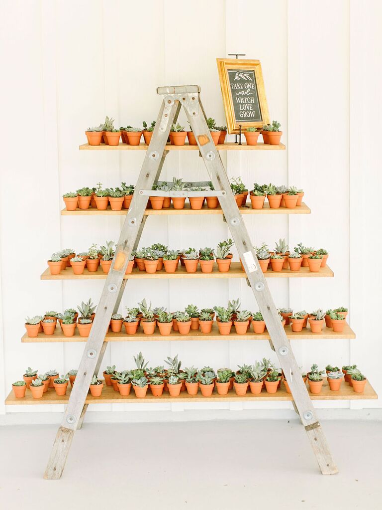 Tiered shelves with succulent wedding favors
